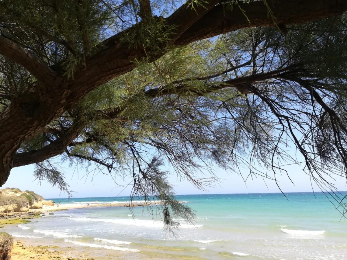 Ferienwohnung Tra Vento E Mare Lendinuso Exterior foto